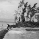 Image for article titled Photos: This is life on a sinking island
